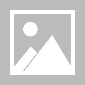 【夜读】滕哈格也知道你菜了？？？