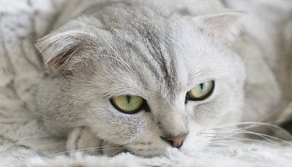 开云之愿：云端让美好发生