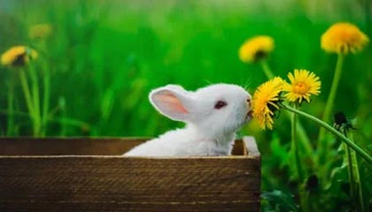 玩转手游世界：解锁你的娱乐新方式